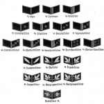 SS Rank Insignia